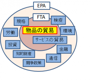 EPA/FTAの比較
