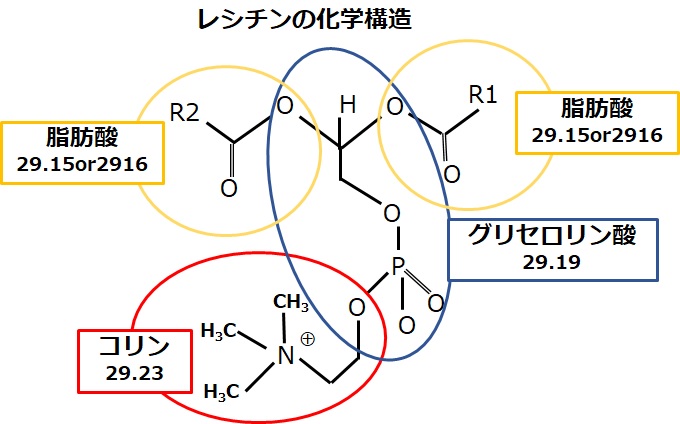 レシチンの化学構造式